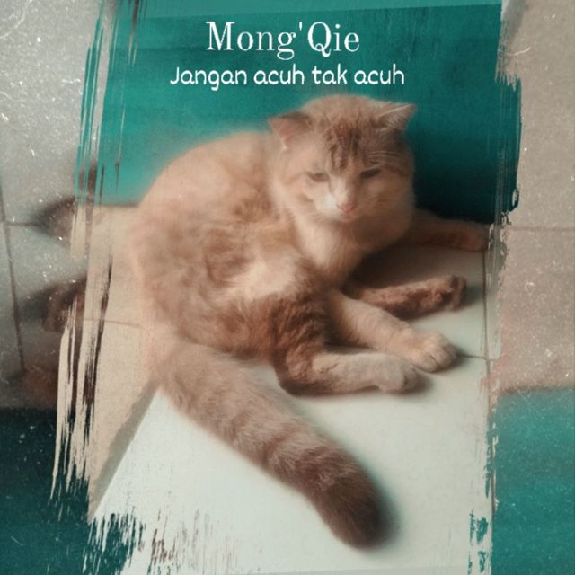 Mong'Qie - 'Jangan Acuh Tak Acuh' [Ringtone]
