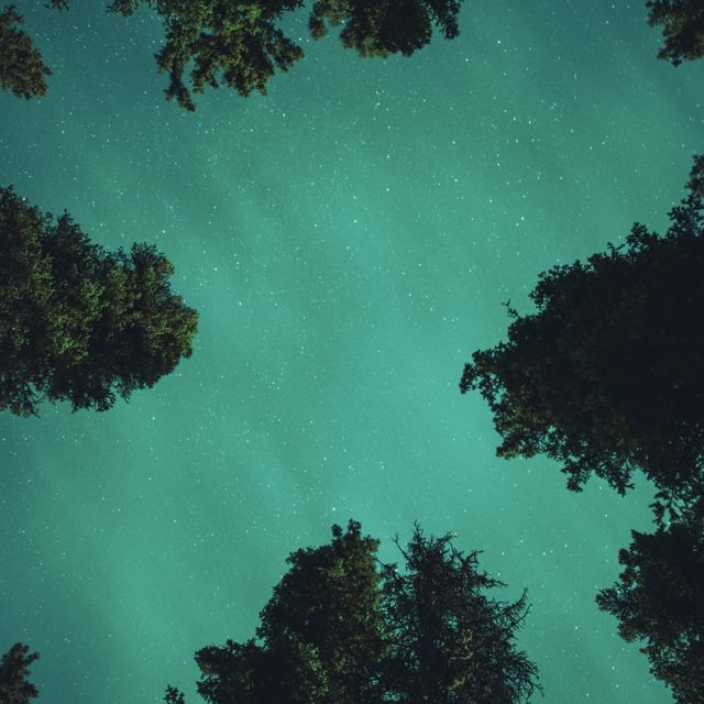 Velvet Harbor - 'Cielo Jade' [Ringtone]
