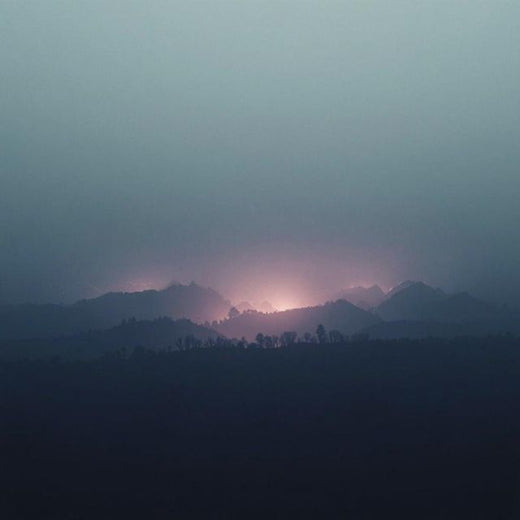 Dariya - 'Quiet Beyond' [Ringtone]
