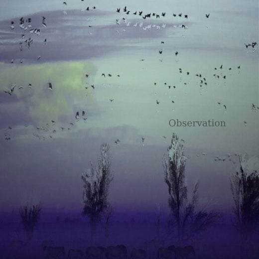 Elliot's Dreams - 'Observation' [Ringtone]