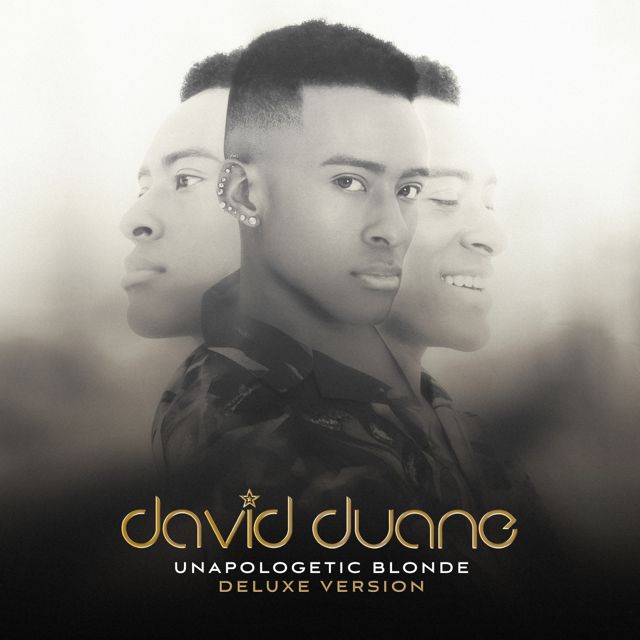 David Duane - 'Turn The Page' [Ringtone]