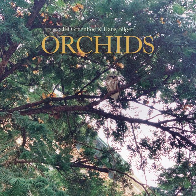 Eli Greenhoe - 'Scorpion/Orchids (feat. Hans Bilger)' [Ringtone]