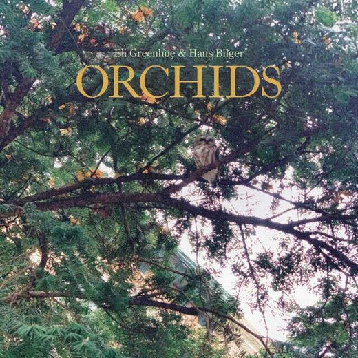 Eli Greenhoe - 'Scorpion/Orchids (feat. Hans Bilger)' [Ringtone]