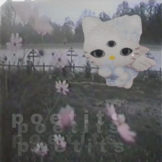 p o e t i t s - 'mi existencia en un glitch en la matrix' [Ringtone]