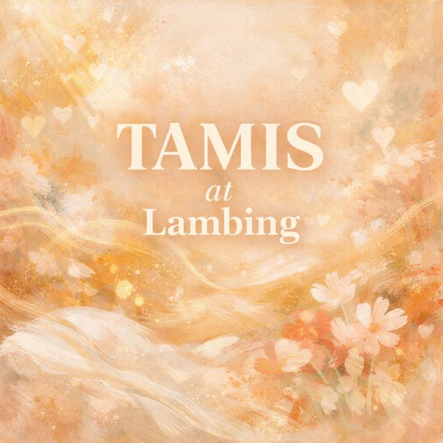 The Agadiers - 'Tamis at Lambing' [Ringtone]