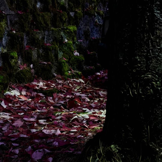 Shlumpy - 'flyaway' [Ringtone]