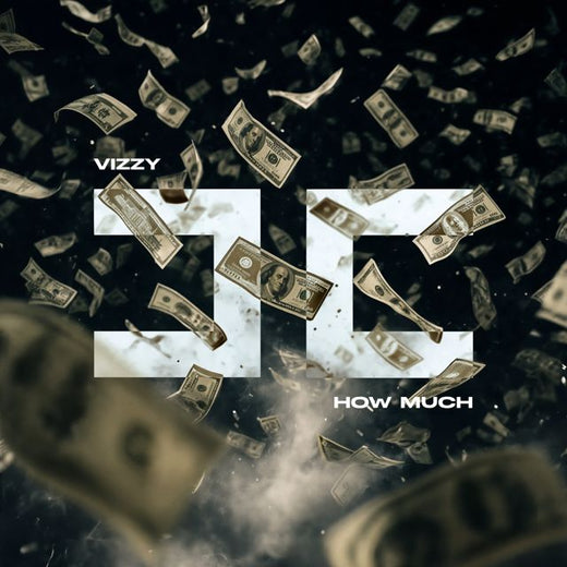 VIZZY - 'HOW MUCH' [Ringtone]