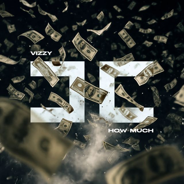 VIZZY - 'HOW MUCH' [Ringtone]