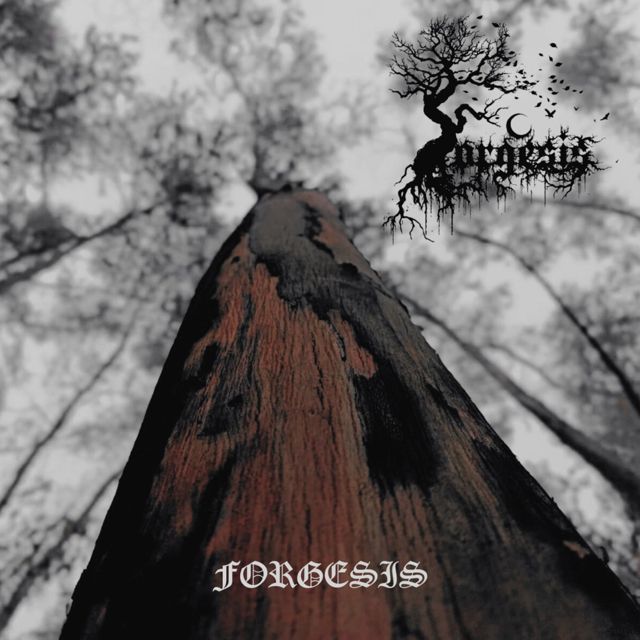 Forgesis - 'TUTAYAQPI (OUTRO)' [Ringtone]