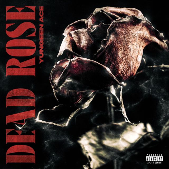 Yungeen Ace - 'Dead Rose' [Ringtone]