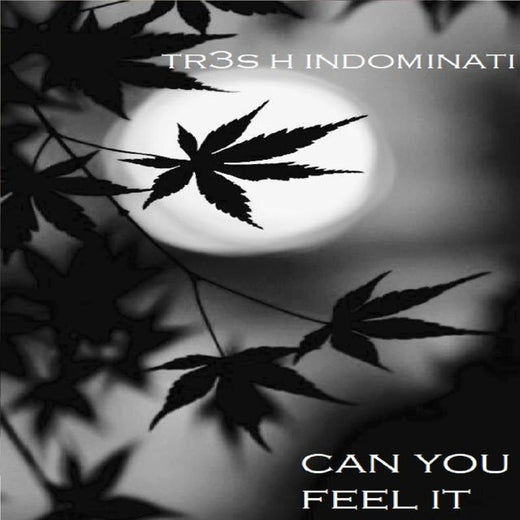 tr3s h indominati - 'Can You Feel It' [Ringtone]