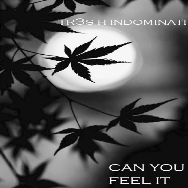 tr3s h indominati - 'Can You Feel It' [Ringtone]