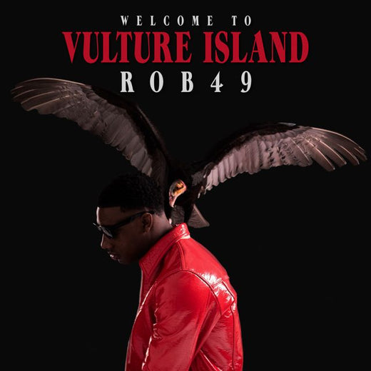 Rob49 - 'Hustler's Anthem (feat. Birdman)' [Ringtone]