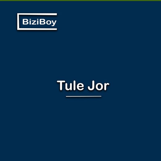 BiziBoy - 'Tule Jor' [Ringtone]