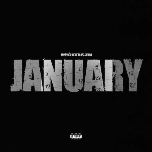 Multiszn - 'January' [Ringtone]