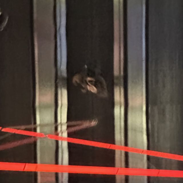 Moors - 'UON' [Ringtone]