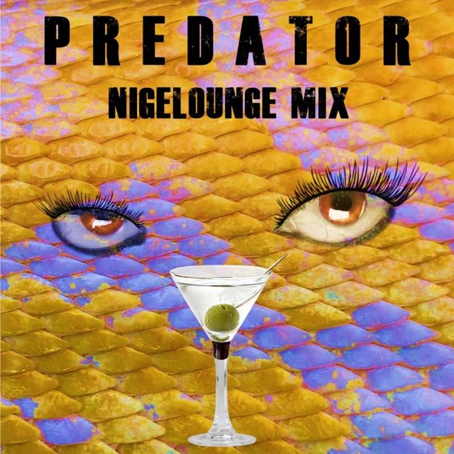Chris Sunfield - 'Predator (Nigelounge Mix) (feat. J Morris & Brent Bodrug)' [Ringtone]