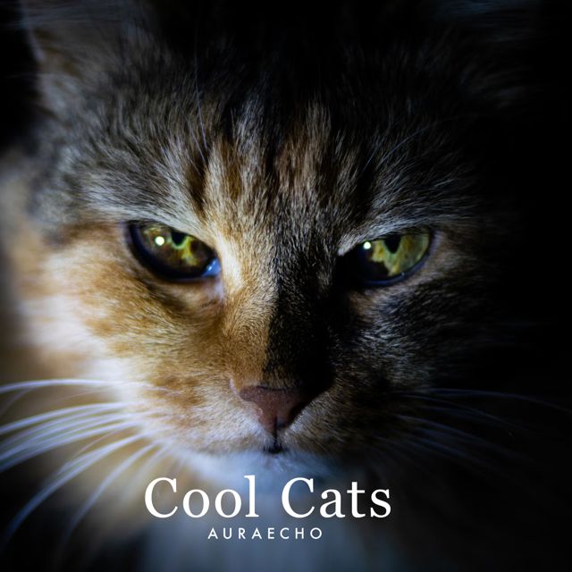 auraecho - 'Cool Cats' [Ringtone]
