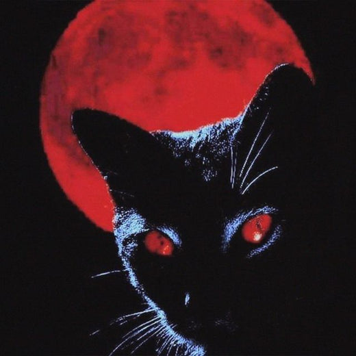 DAM DRE - 'The Watcher' [Ringtone]