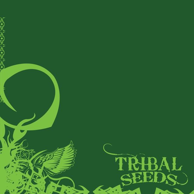 Tribal Seeds - 'Youth Rebellion' [Ringtone]