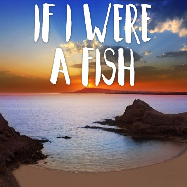 Tropical Jawns - 'If I Were A Fish (Marimba)' [Ringtone]