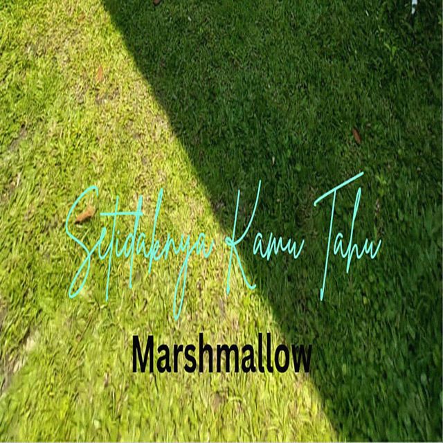 Marshmallow - 'Setidaknya Kamu Tahu' [Ringtone]