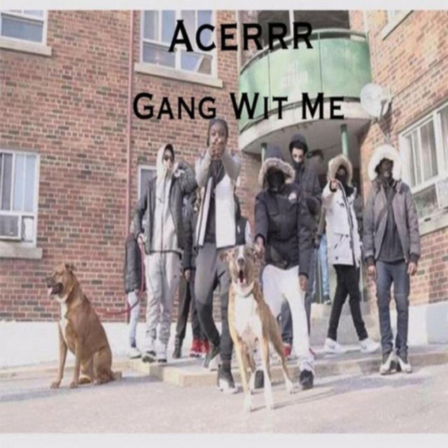 Acerrr - 'Gang With Me' [Ringtone]