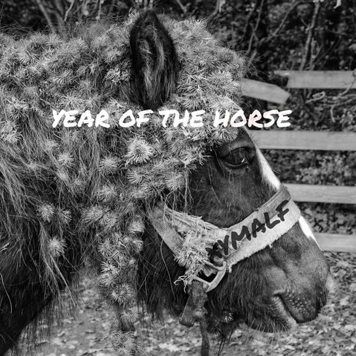 xymalf - 'Año del caballo' [Tono de llamada]