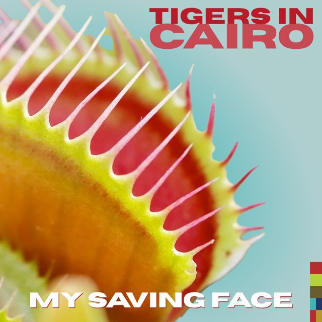Tigers In Cairo - 'My Saving Face' [Ringtone]