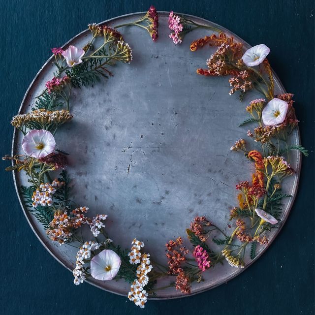 Rodrigo Pacote - 'floral' [Ringtone]