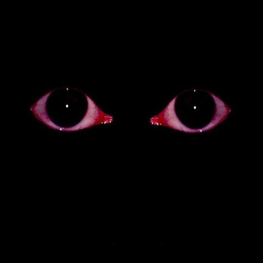 Yung Cloudy - 'soft violence (feat. Yui Bear)' [Ringtone]