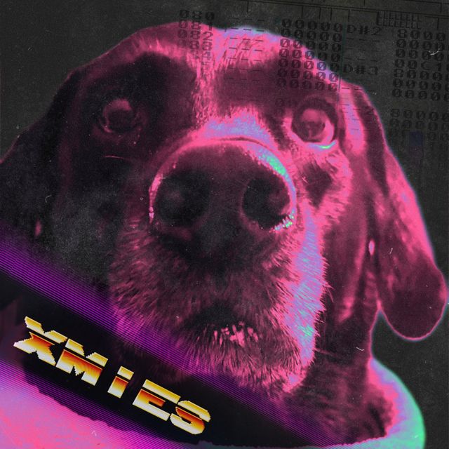 Xmies - 'Vitun älykäs (feat. Kossu K & Louhi)' [Ringtone]