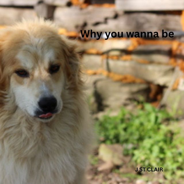 J ST CLAIR - 'Why you wanna be' [Ringtone]