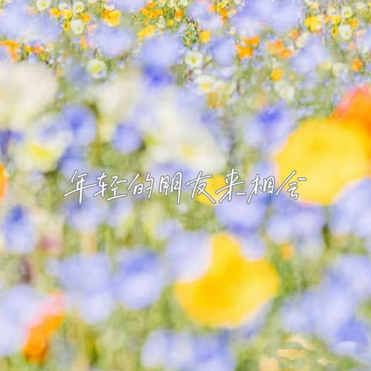 白兰滴 - '年轻的朋友来相会' [Ringtone]