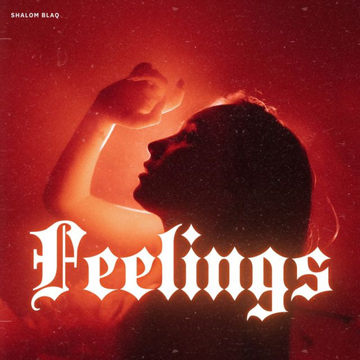 Shalom Blaq - 'Feelings' [Ringtone]
