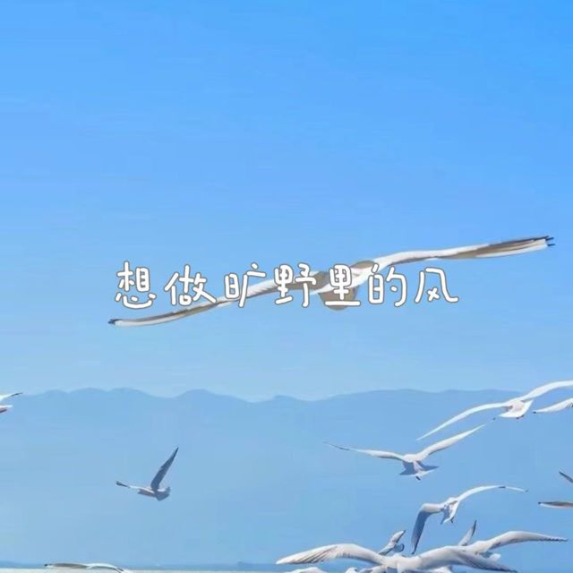 林诗曼 - '想做旷野里的风' [Ringtone]