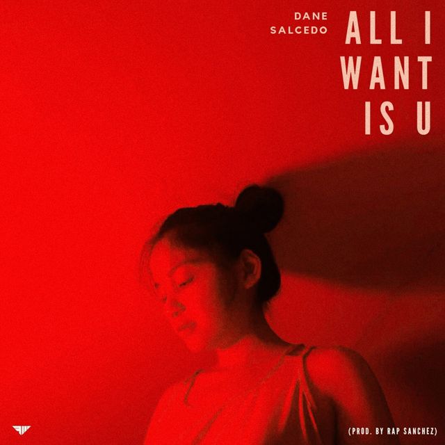 Dane Salcedo - 'All I Want Is U' [Ringtone]