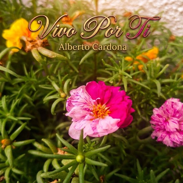 Alberto Cardona - 'Vivo Por Ti' [Ringtone]