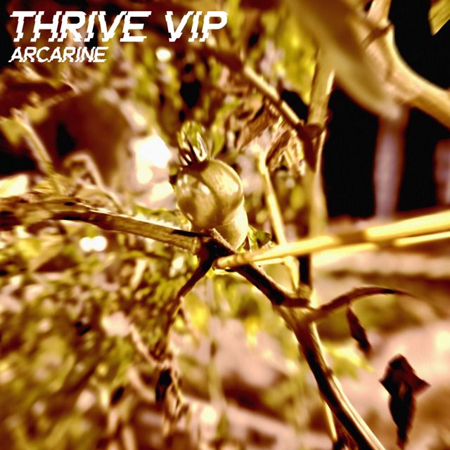 Arcarine - 'Thrive VIP' [Ringtone]
