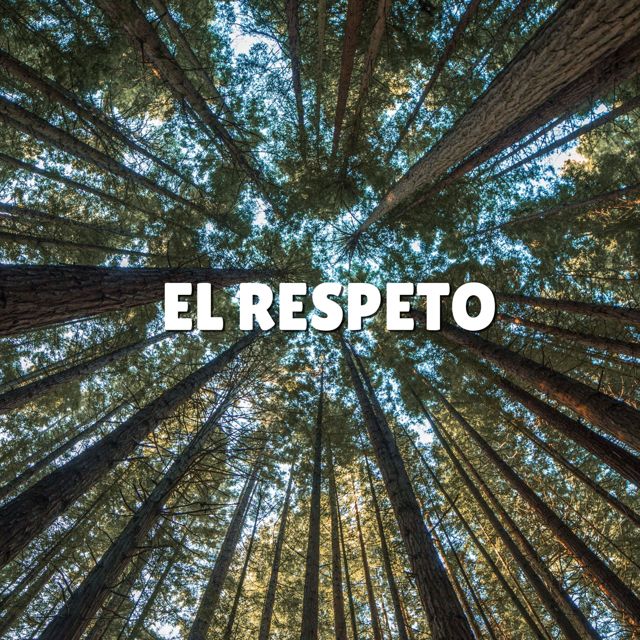 Arena Salina - 'El Respeto' [Ringtone]
