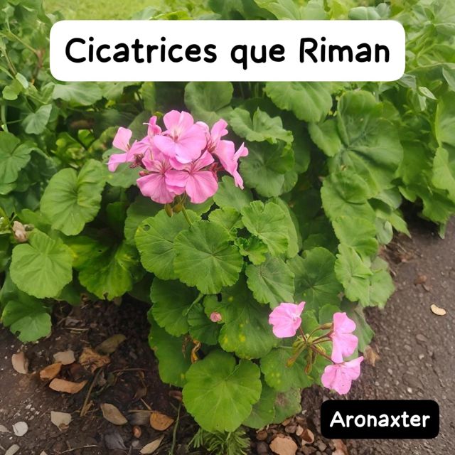 Aronaxter - 'Cicatrices que Riman' [Ringtone]