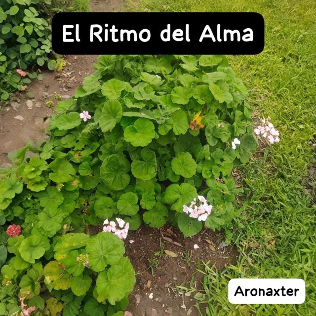 Aronaxter - 'El Ritmo del Alma' [Ringtone]