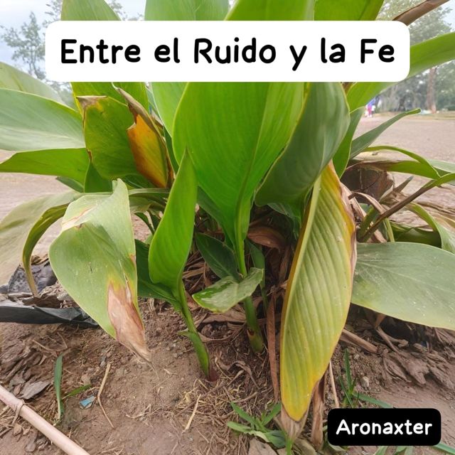 Aronaxter - 'Entre el Ruido y la Fe' [Ringtone]
