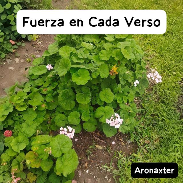 Aronaxter - 'Fuerza en Cada Verso' [Ringtone]
