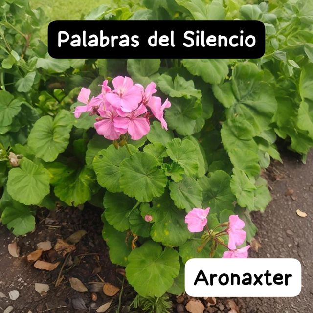 Aronaxter - 'Palabras del Silencio' [Ringtone]