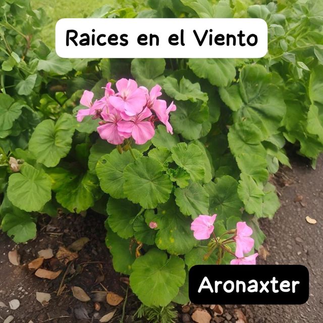 Aronaxter - 'Raices en el Viento' [Ringtone]