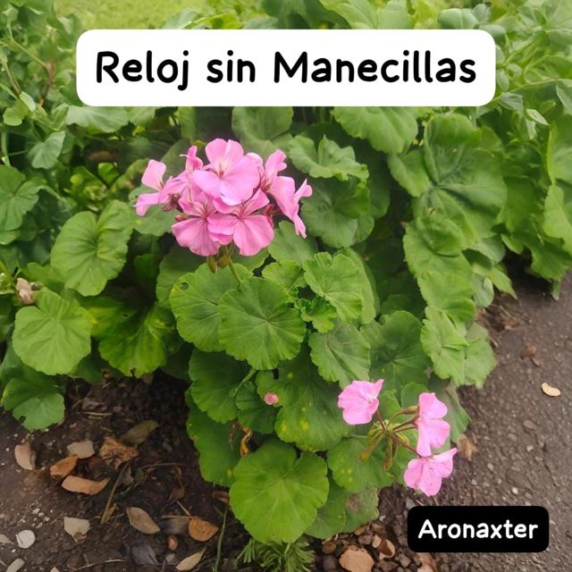 Aronaxter - 'Reloj sin Manecillas' [Ringtone]
