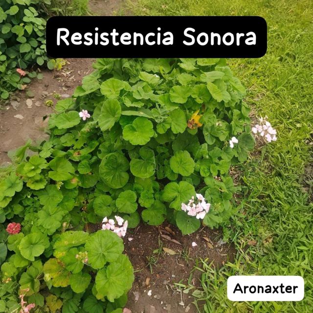 Aronaxter - 'Resistencia Sonora' [Ringtone]