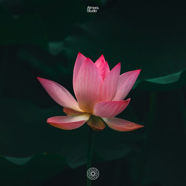 Atmora - 'Positive Energy' [Ringtone]