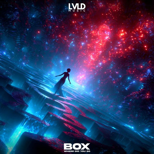 Box - 'Where Did You Go' [Ringtone]
